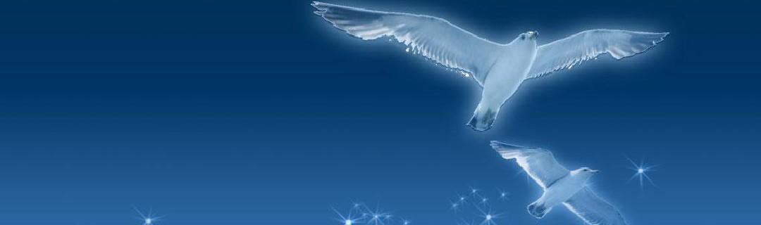 1678430630193069.jpg 1.jpg